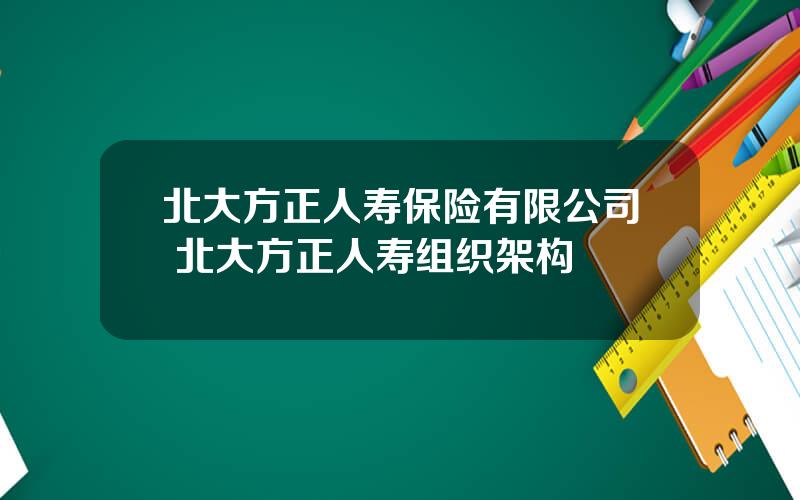 北大方正人寿保险有限公司 北大方正人寿组织架构